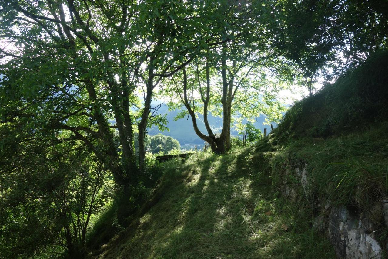 Gite Montagne Et Vie Bedous 외부 사진